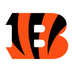Sudaderas & Chamarras Cincinnati Bengals