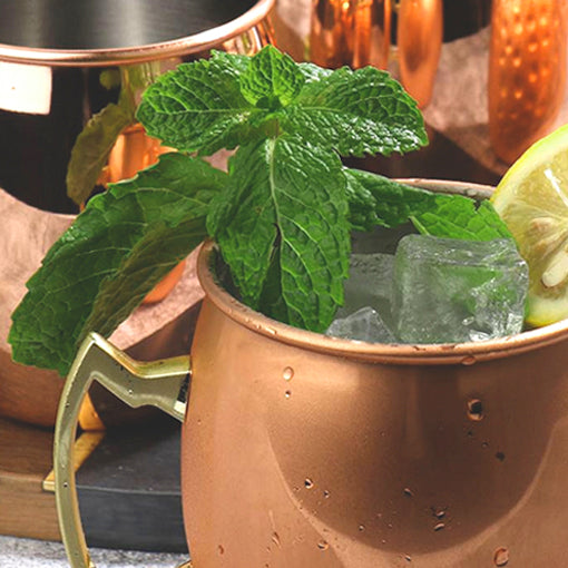 Taza Moscow Mule de Cobre Las Vegas Raiders Duck House
