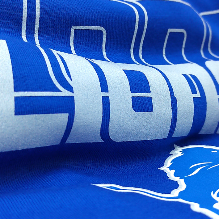 Playera Detroit Lions Reflex Hombre