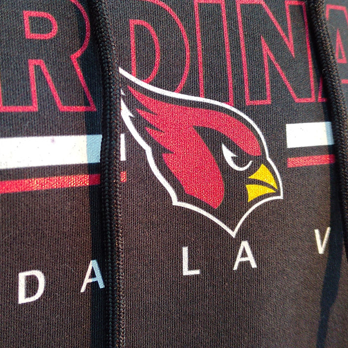 Sudadera con Capucha Arizona Cardinals All The Life