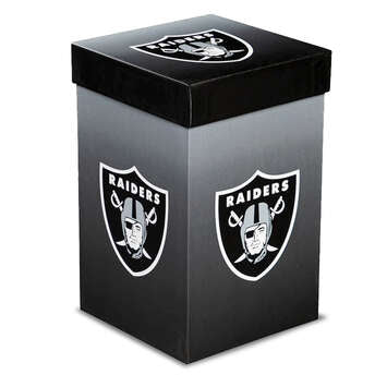 Taza Las Vegas Raiders Boxed 17 oz Evergreen
