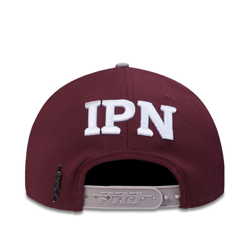 Gorra IPN Blend Pro Standard