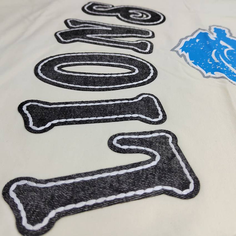 Playera Detroit Lions Rebel Athletics Pro Standard