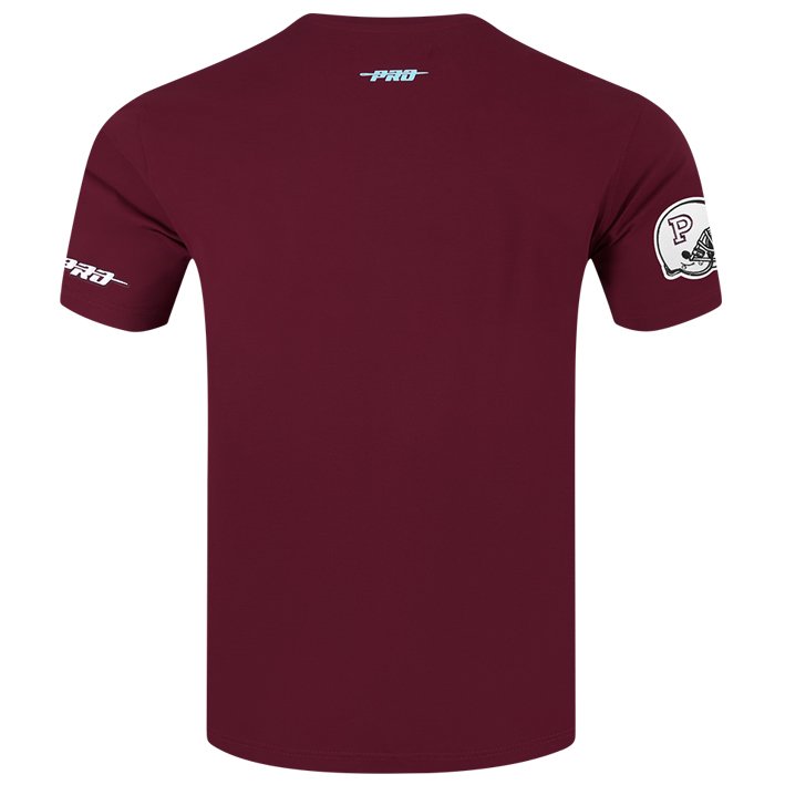 Playera IPN Pro Standard