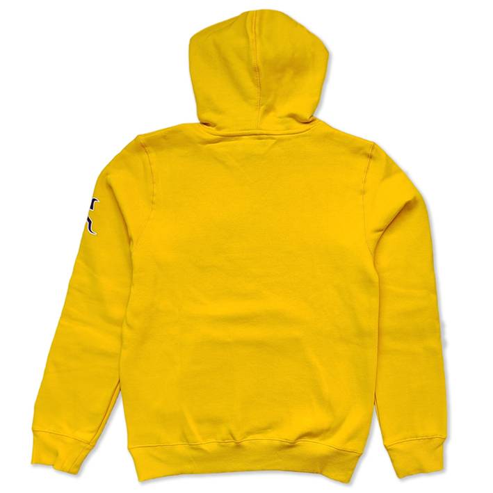 Sudadera Minnesota Vikings Sideline 2023 New Era